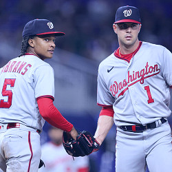 Washington Nationals Reacts Survey - Federal Baseball